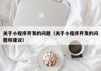 关于小程序开发的问题（关于小程序开发的问题和建议）